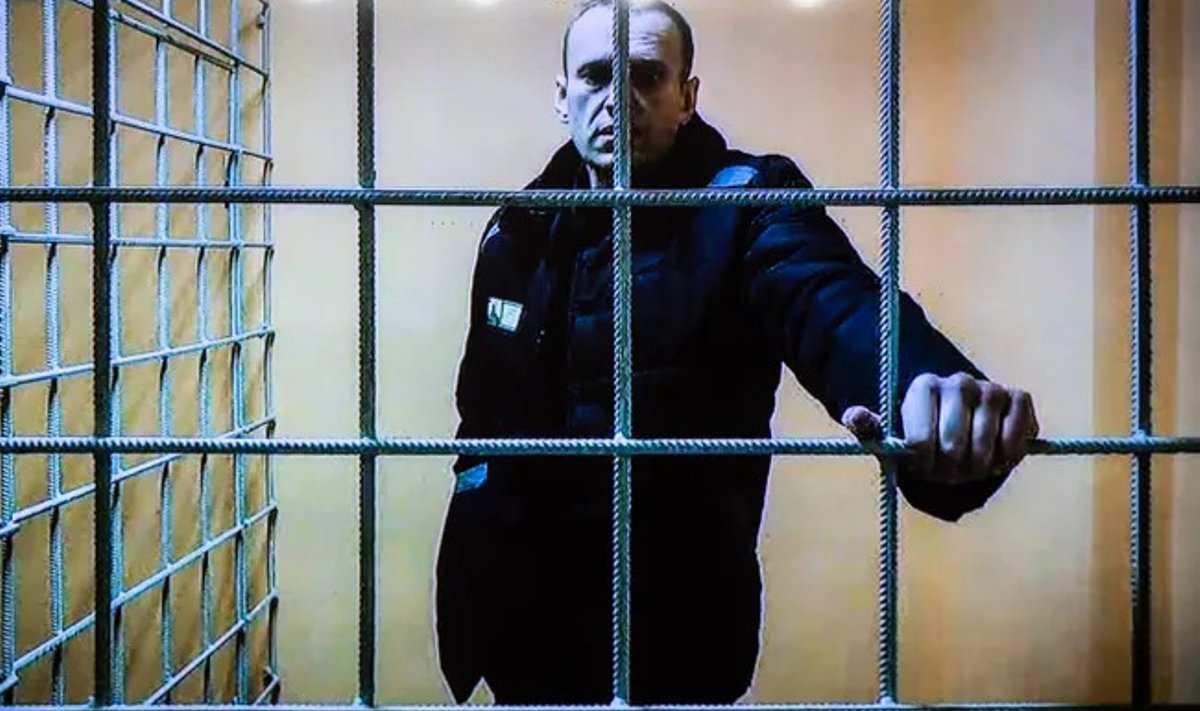 Навальному наваляли 19 лет строгого режима